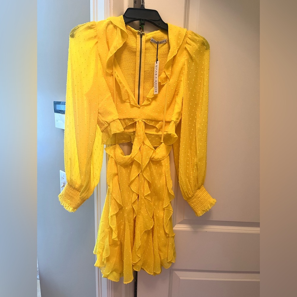 Alice + Olivia Yellow Ruffle Cut Put Dress Size 2 NWT